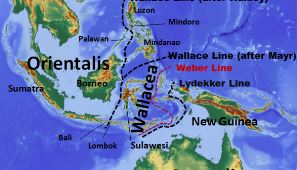 Wallace Line