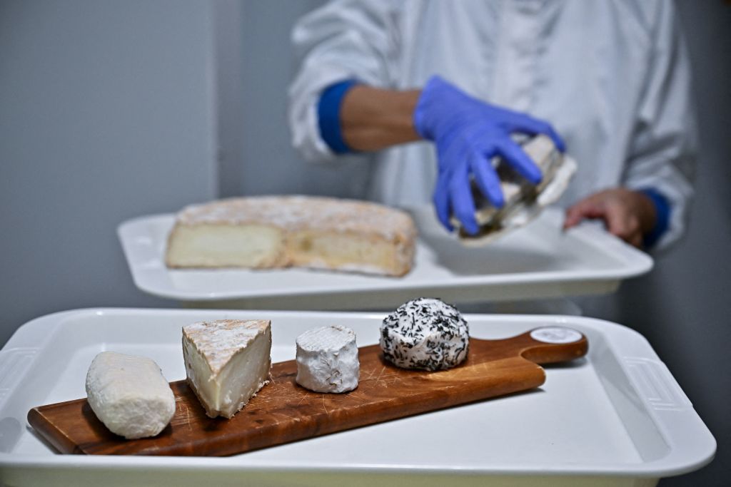 The Science Behind Stinky Cheese: Is It Bad For Your Health? | Nature ...