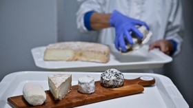 The Science Behind Stinky Cheese: Is It as Bad For Your Health?