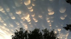 Uncovering the Meteorological Mystery of Mammatus Clouds