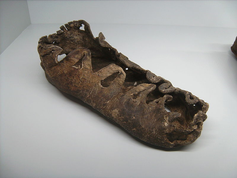 Unusual Ancient Footprints, Child's Shoe from Ice Age Found in Austria ...
