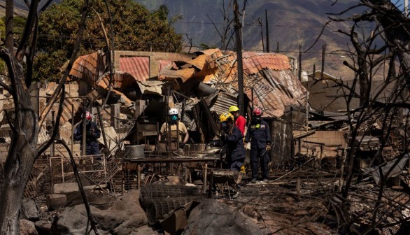 Maui wildfire