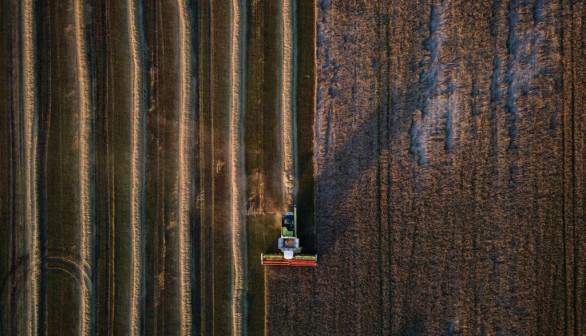 Ukraine's 2023 Wheat Harvest Underway Amid Attacks On Storage Facilities Across Country