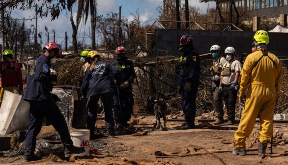 Maui wildfires 