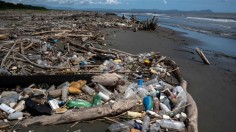 Plastic pollution in oceans