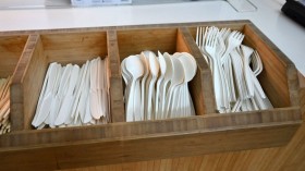 Single-use plastic cutlery