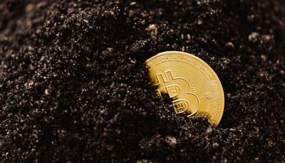 Close-Up Shot of a Bitcoin Buried in the Ground