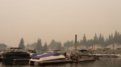 Recent wildfire smoke in British Columbia