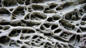 Puzzling Honeycomb Pattern on Czech Rock Formation Solved via Computer Simulations: Moisture and Salt, Study Says