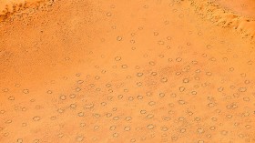 Unexplained 'Fairy Circles' That Mysteriously Appear in Deserts Sighted All Over the World