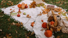 Autumn composition with assorted pumpkins and bread in basket placed on plaid on grassy lawn
