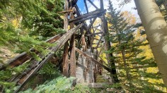 Old Abandoned Coal Mines From Decades Ago Start to Grow Into Forests 