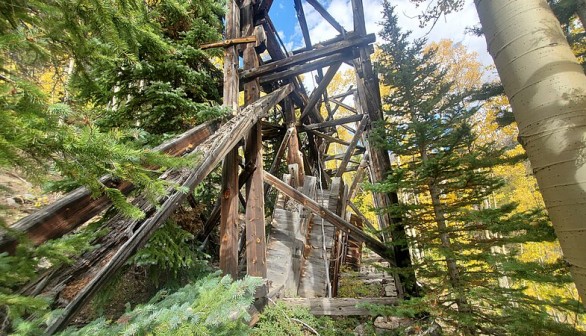 Old Abandoned Coal Mines From Decades Ago Start to Grow Into Forests 
