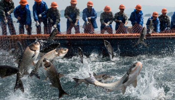 TOPSHOT-CHINA-ECONOMY-FISH