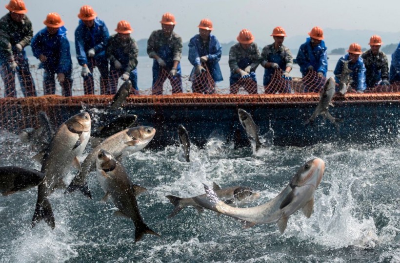 TOPSHOT-CHINA-ECONOMY-FISH