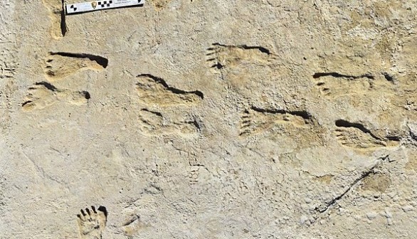 Oldest Footprints Found Fossilized in New Mexico were 23,000 Years Old, Says 75,000 Pollen Grains in Study