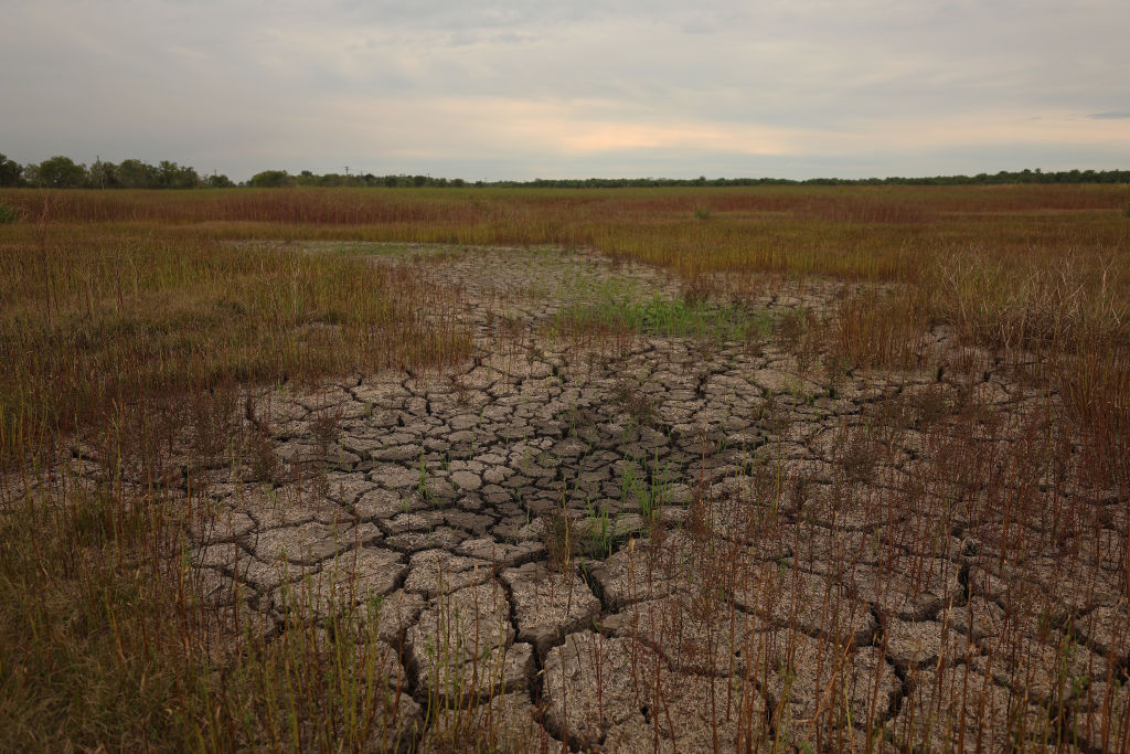 Climate Change Losses Reach $140B Per Year With Prolonged Droughts ...