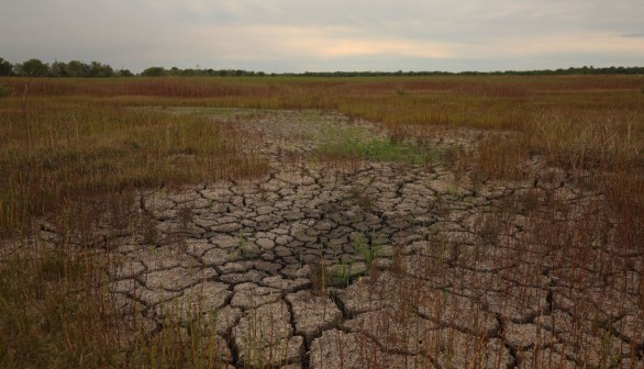 Climate Change Losses Reach $140B Per Year with Prolonged Droughts, Heatwaves, Storms 