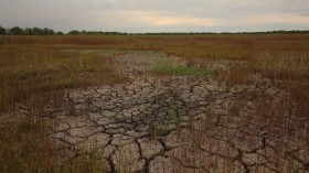 Climate Change Losses Reach $140B Per Year with Prolonged Droughts, Heatwaves, Storms 
