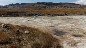 Recent drought in Perka, Puno Province, Peru