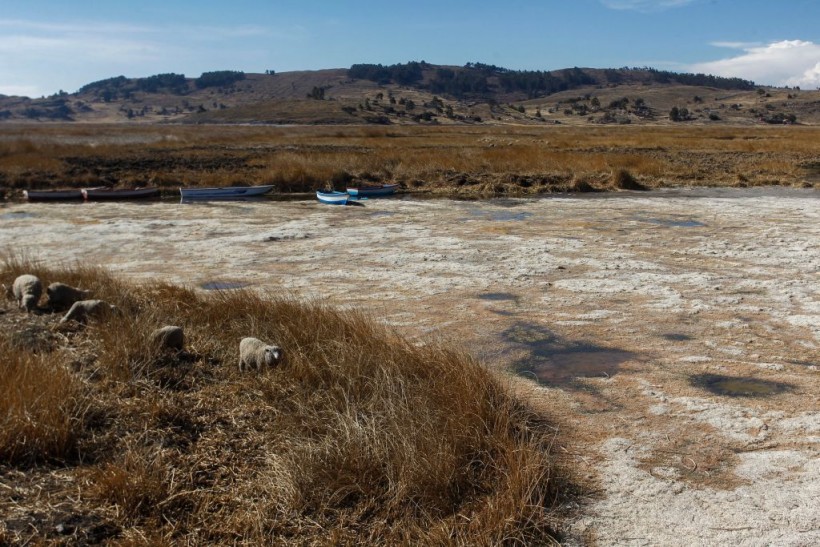 Recent drought in Perka, Puno Province, Peru