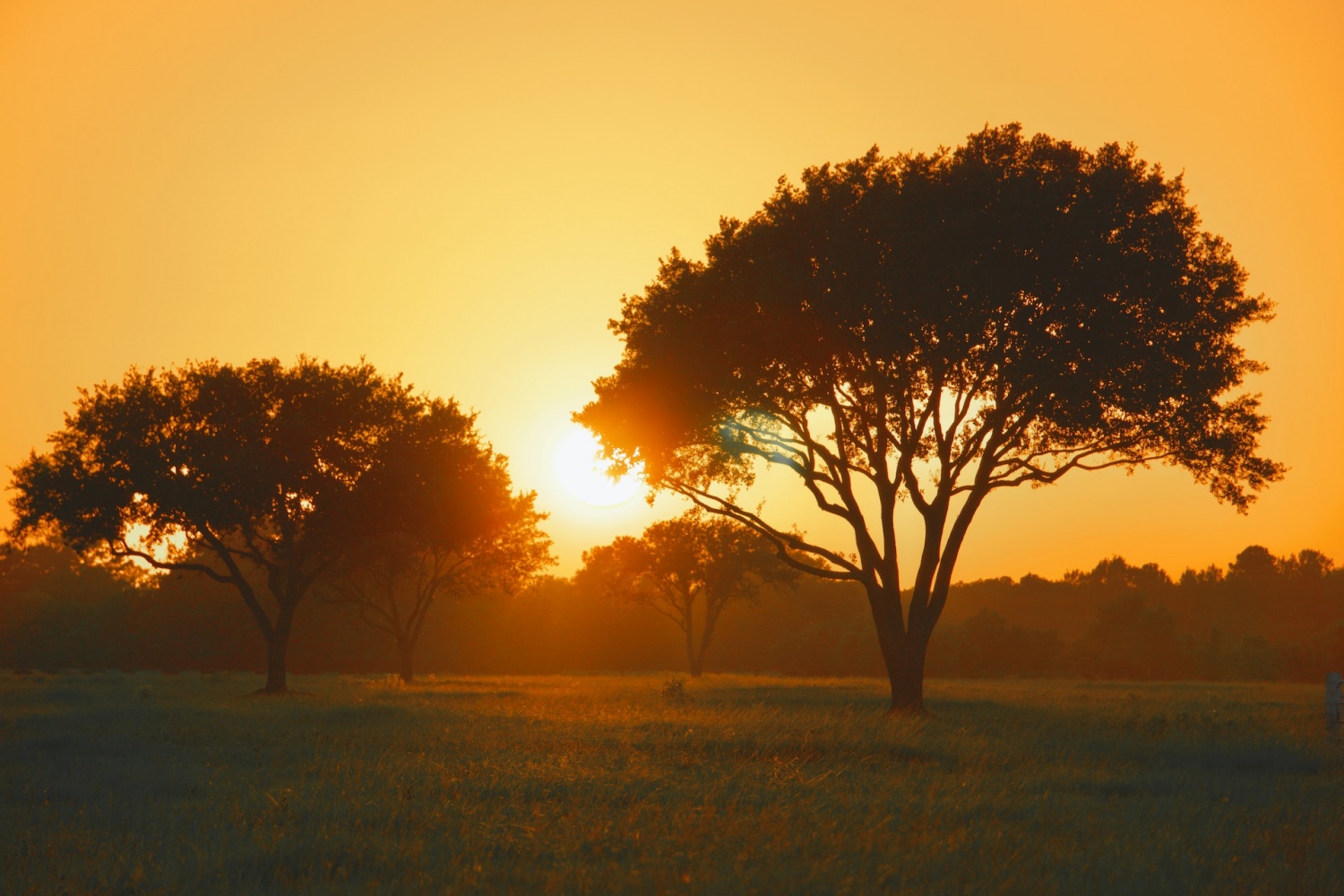 Arizona Extreme Heat Leads to Over 360 Deaths in Maricopa County Amid