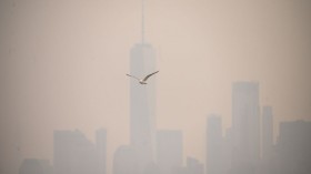 polluted air