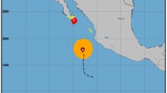 surface wind field estimate for Norma