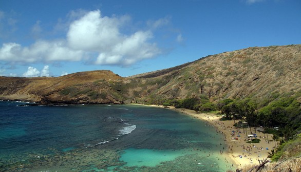 Biodiversity Along Hawaii Coastline at Risk as Landowners Pull Out Native Plants