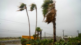 Strong winds caused by Norma