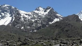 13 Mummified Mice Found on Andean Volcanoes Shows They Scurried Towards the Summit on Their Own, Some 350 Years Ago