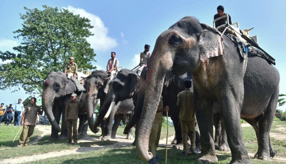 INDIA-ENVIRONMENT-WILDLIFE