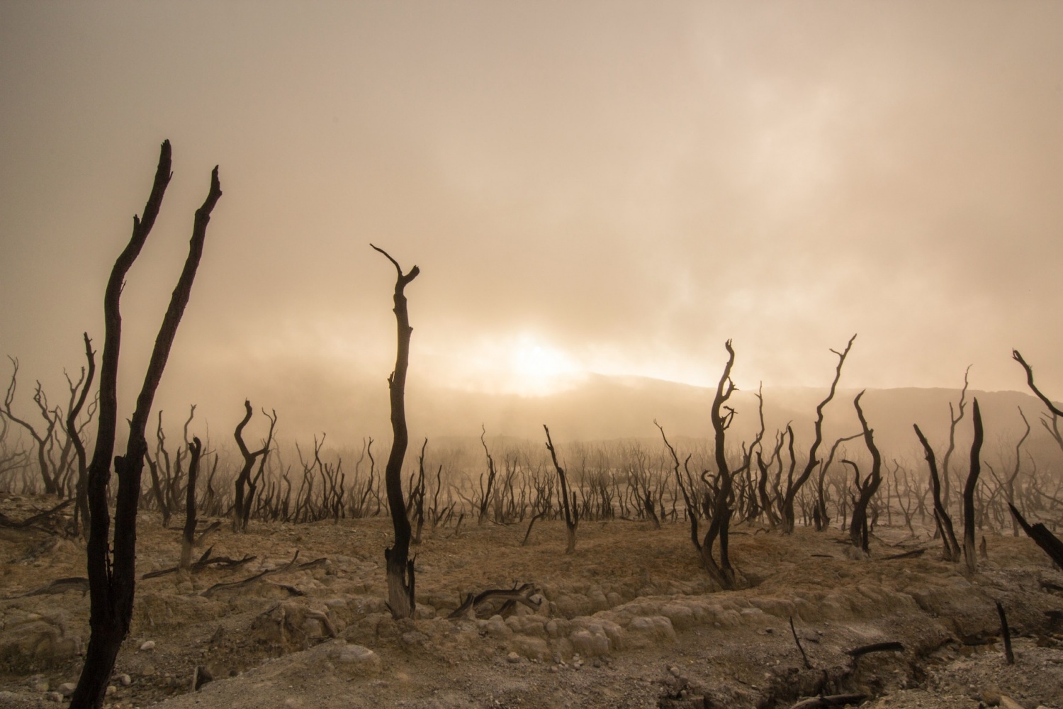 Beyond 2012: Why the world won't end – Climate Change: Vital Signs of the  Planet