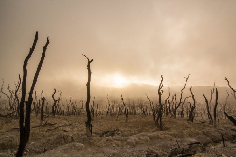 Planet in Crisis: Earth's Vital Signs in Danger