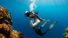 Two New Coral Reefs in Pristine Condition Found Off Galapagos Spans the Size of 8 Football Fields