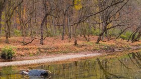 Maryland Gunpowder River Turns Orange with Muddy Runoff from Large Housing Construction Site