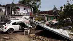 effects of hurricane Otis