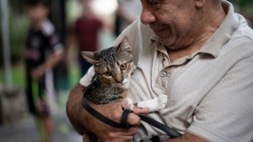 VENEZUELA-RELIGION-WORLD-ANIMAL-DAY