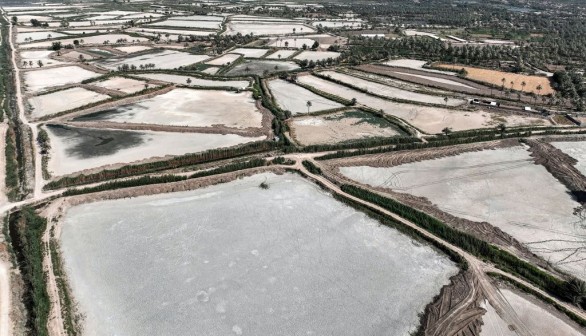 IRAQ-CLIMATE-FISH