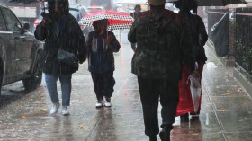 A photo of persons holding umbrellas in Brooklyn borough New York City.