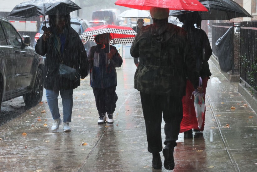 A photo of persons holding umbrellas in Brooklyn borough New York City.