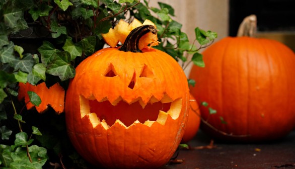 Jack-O-Lanterns Not Allowed in Food Waste Bin, Ohio Puts Up Pumpkin Drop-Off Stations