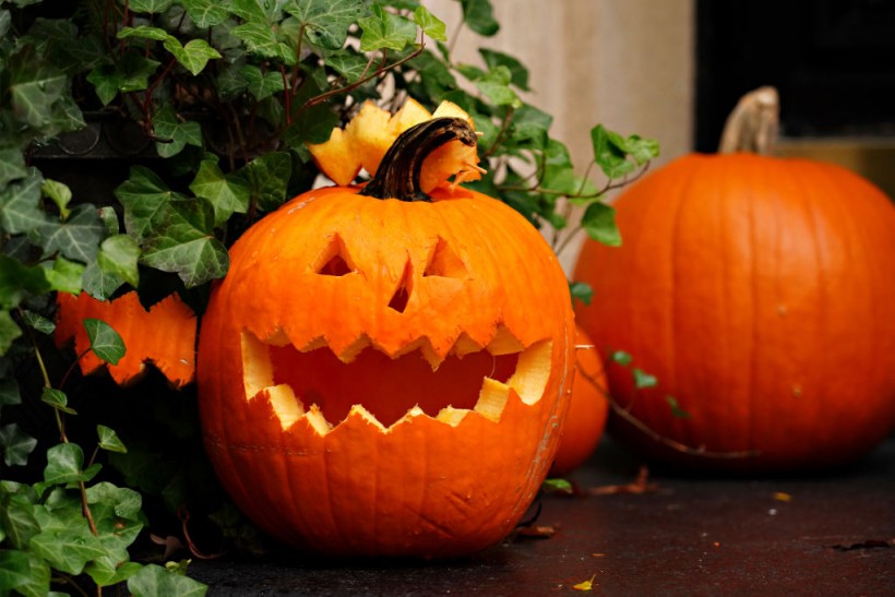 Jack-O-Lanterns Not Allowed in Food Waste Bin, Ohio Puts Up Pumpkin Drop-Off Stations