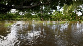 floods in Central America