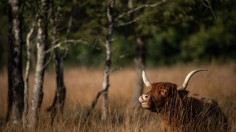 FRANCE-ENVIRONMENT-CLIMATE-ANIMAL