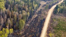 Recent wildfires in Entrance, Wild Hay area, Alberta, Canada in 2023