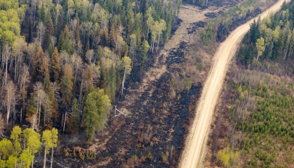 Recent wildfires in Entrance, Wild Hay area, Alberta, Canada in 2023