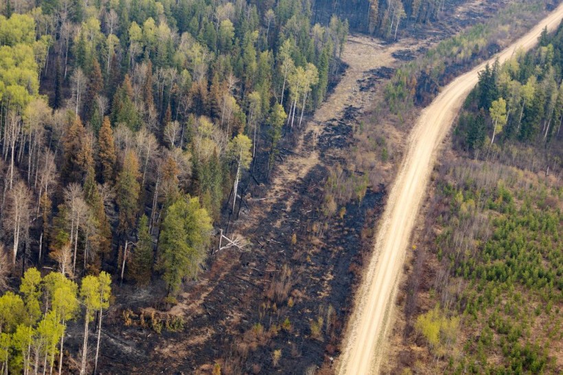 Recent wildfires in Entrance, Wild Hay area, Alberta, Canada in 2023