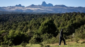 Mount Kenya: One Of Africa's Last Glaciers, Melting From Human-Induced Climate Change