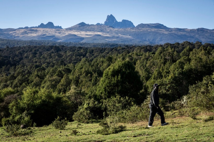 Mount Kenya: One Of Africa's Last Glaciers, Melting From Human-Induced Climate Change
